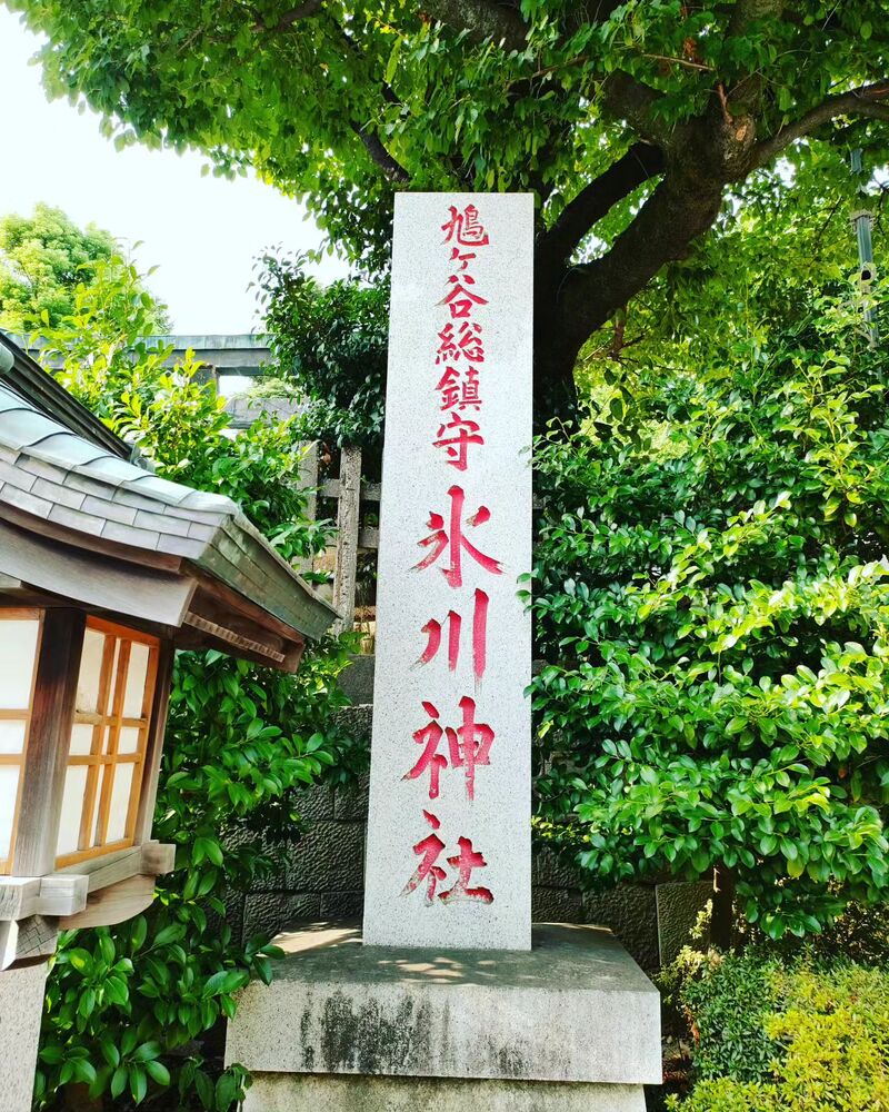 ブログ画像