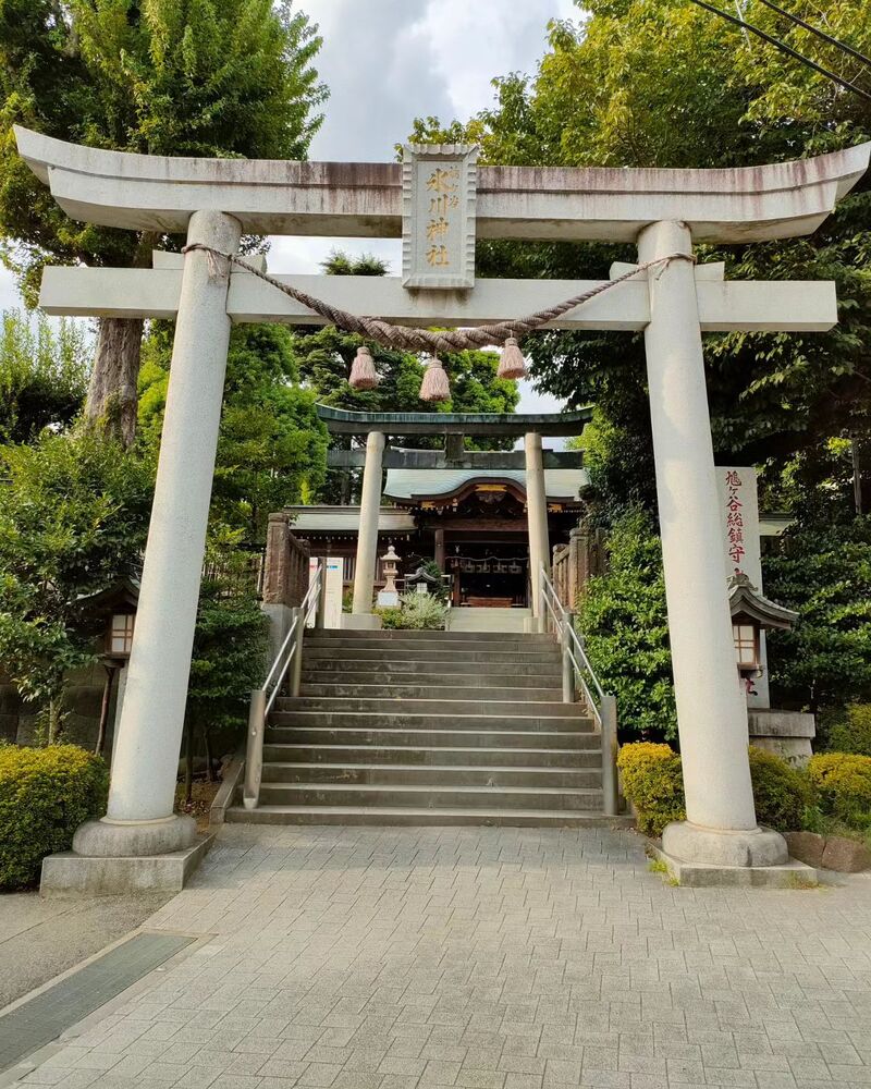 ブログ画像