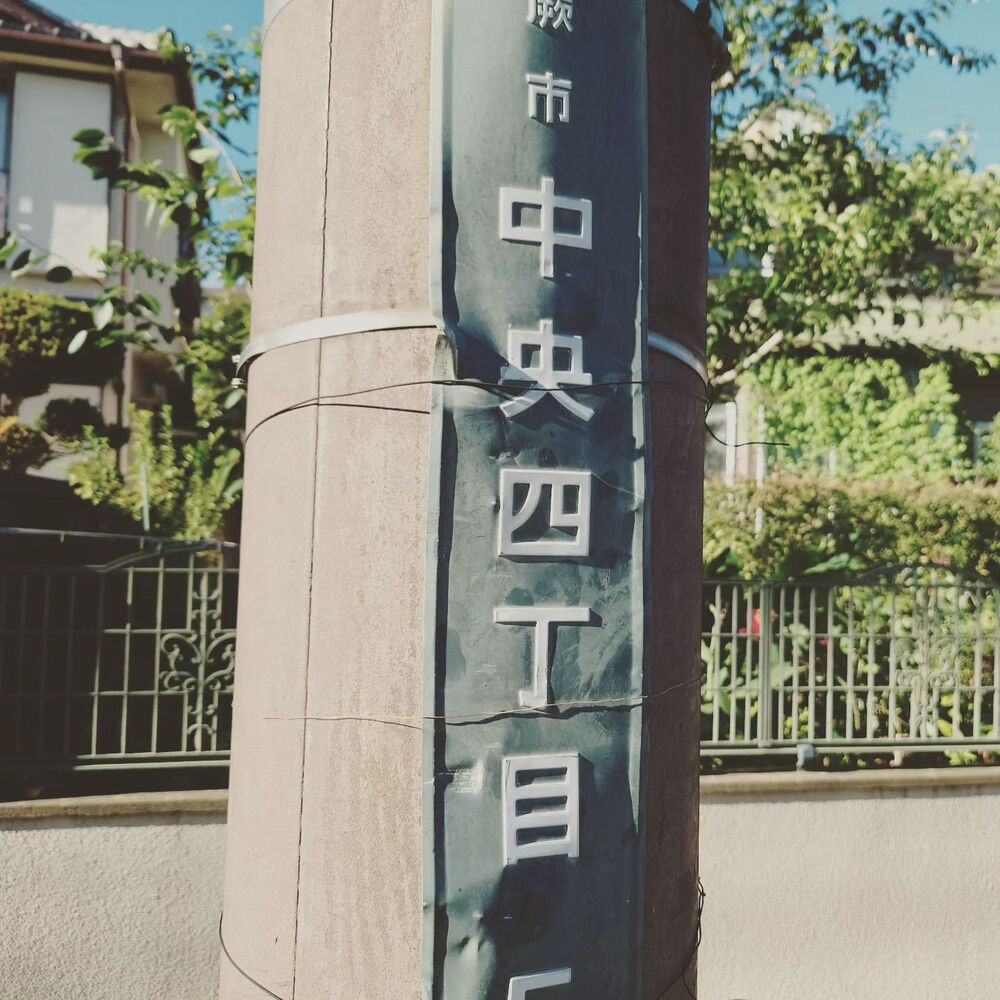 ブログ画像