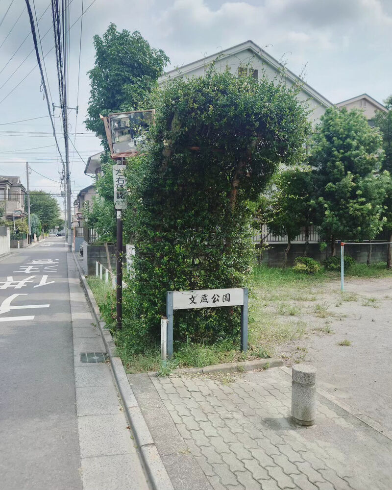 ブログ画像