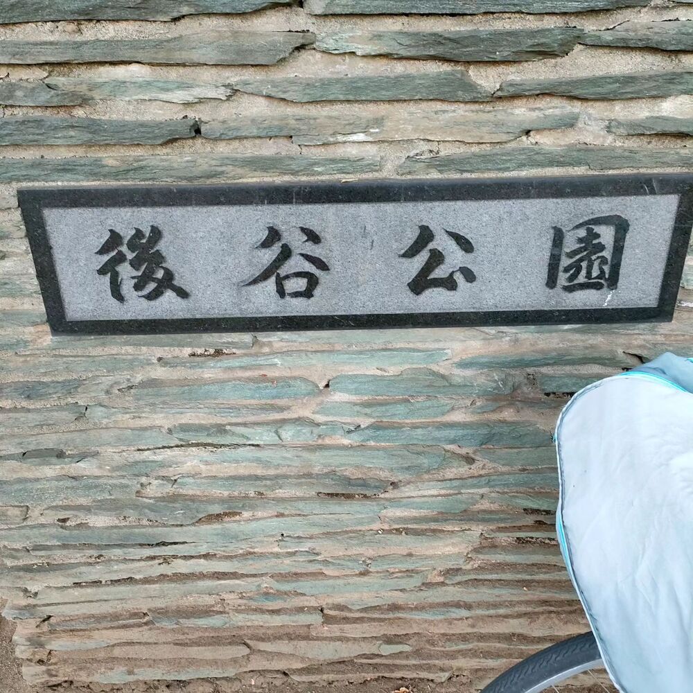ブログ画像