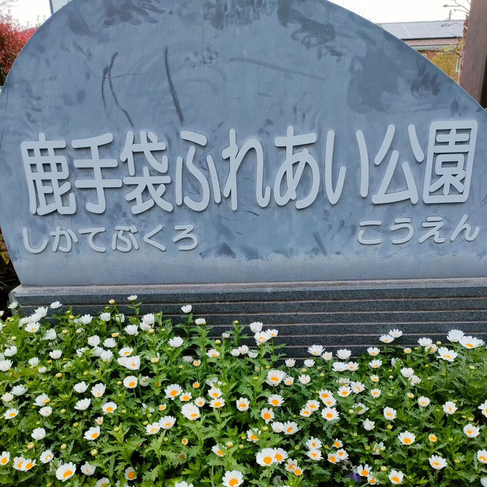 ブログ画像
