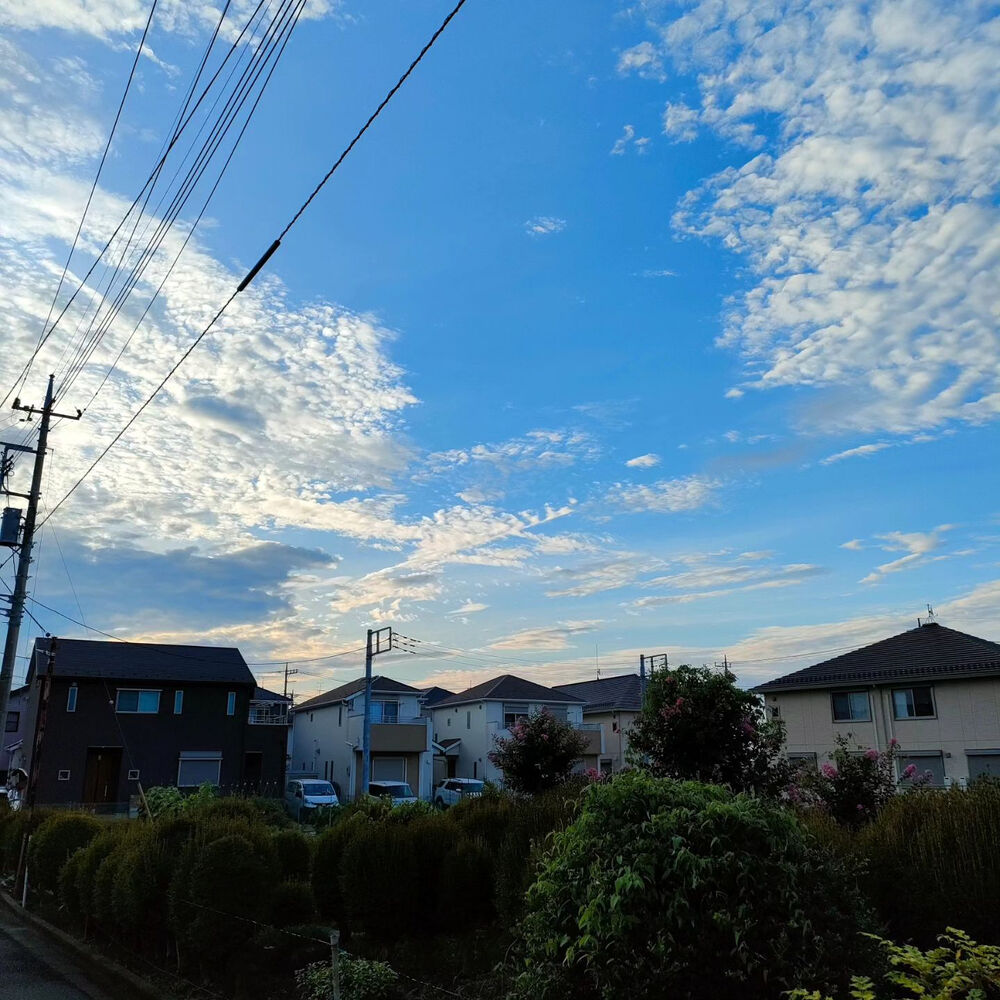 ブログ画像