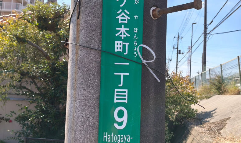 画像75183：【川口市　ポスティング】整体院様、お掃除業者様等の広告ポステ